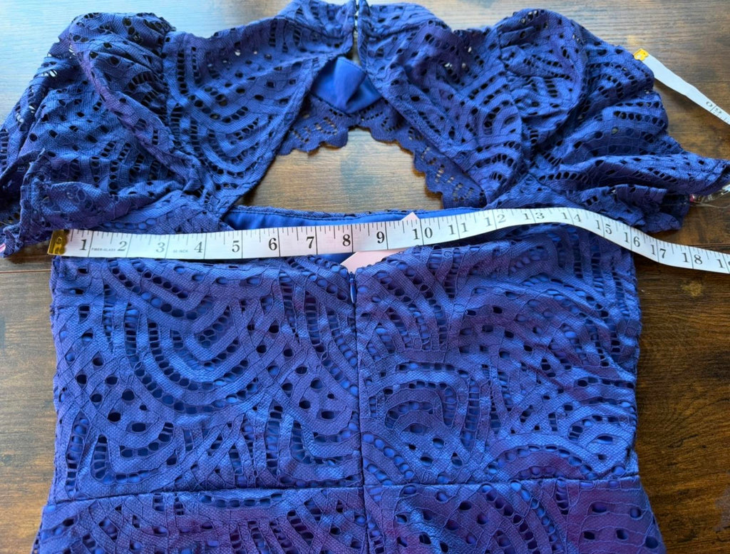 Elegant Blue Lace Mini Dress