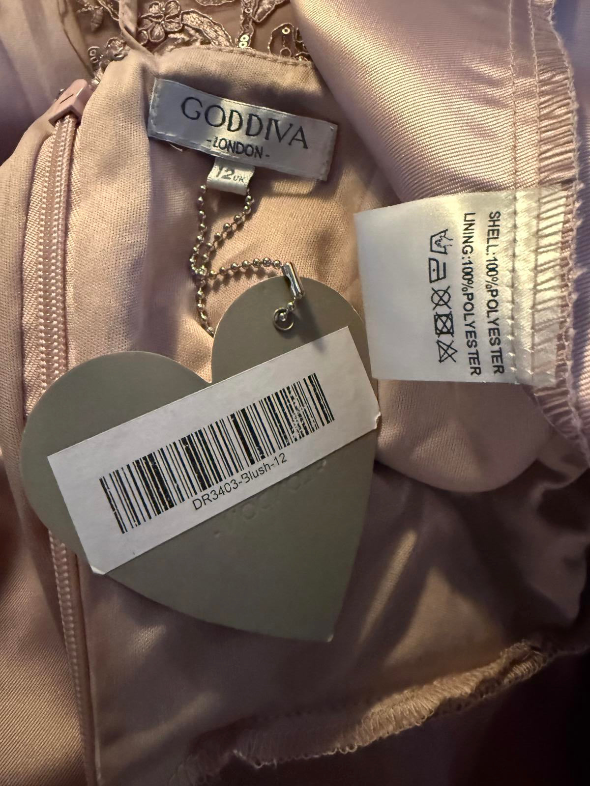 Goddiva London Blush Pink Satin Layered Dress UK 10-12 | Embroidered Gown