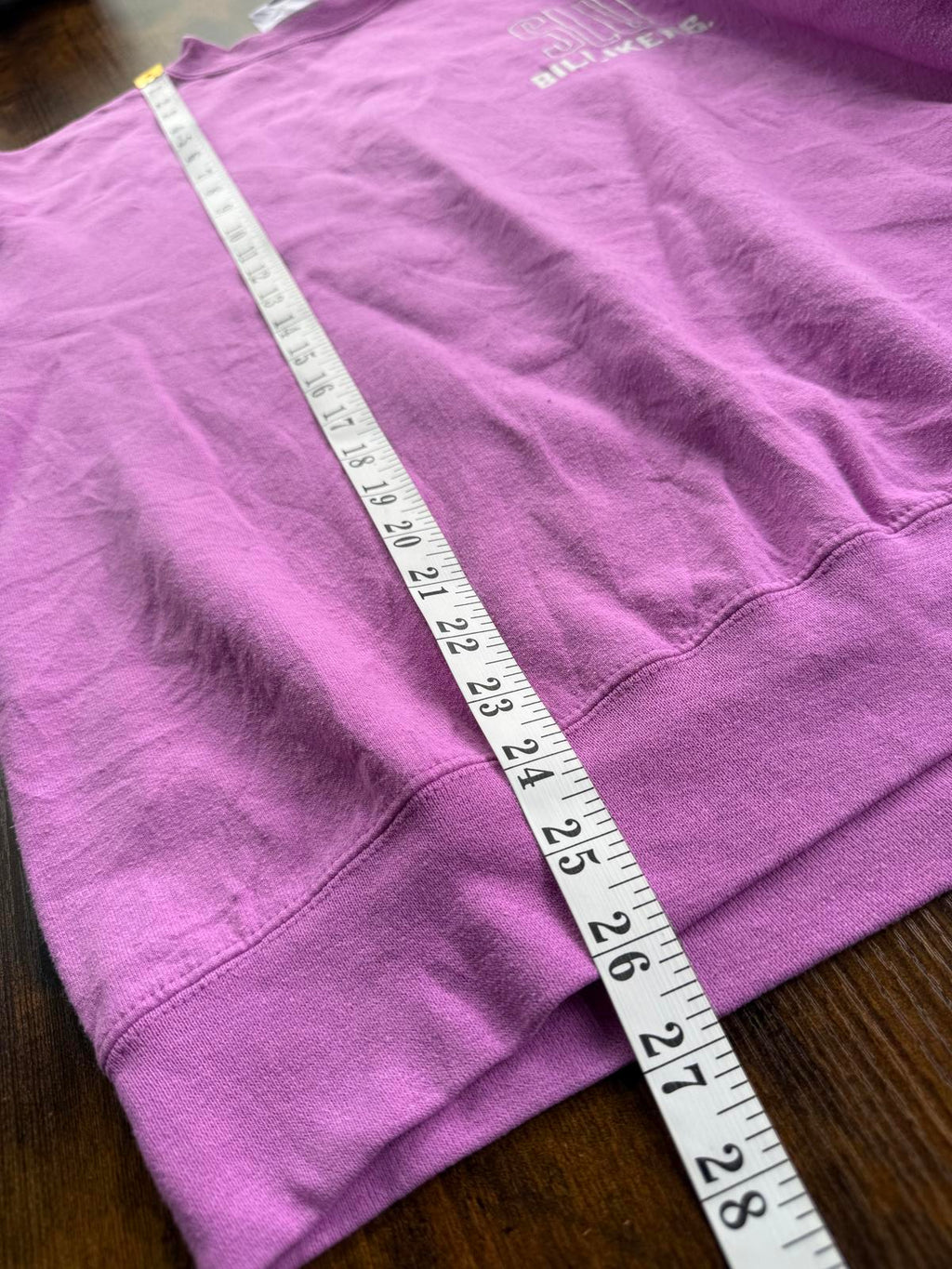 Champion Eco Authentic SLU Billikens Purple Sweatshirt – Size 14-16      NUM49