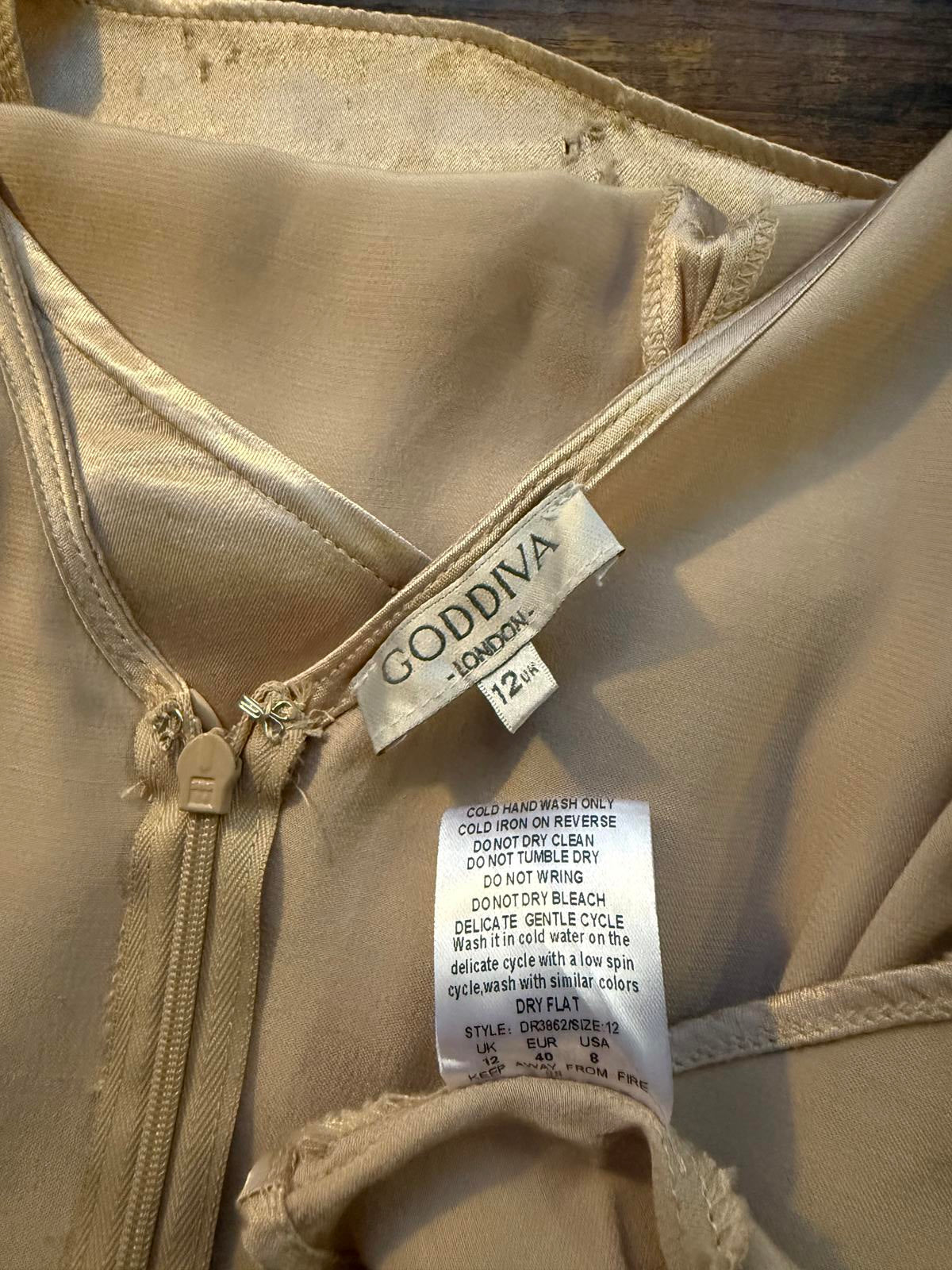 Goddiva Champagne Satin Maxi Dress UK 12 – Button Front Vintage Read Info! 227