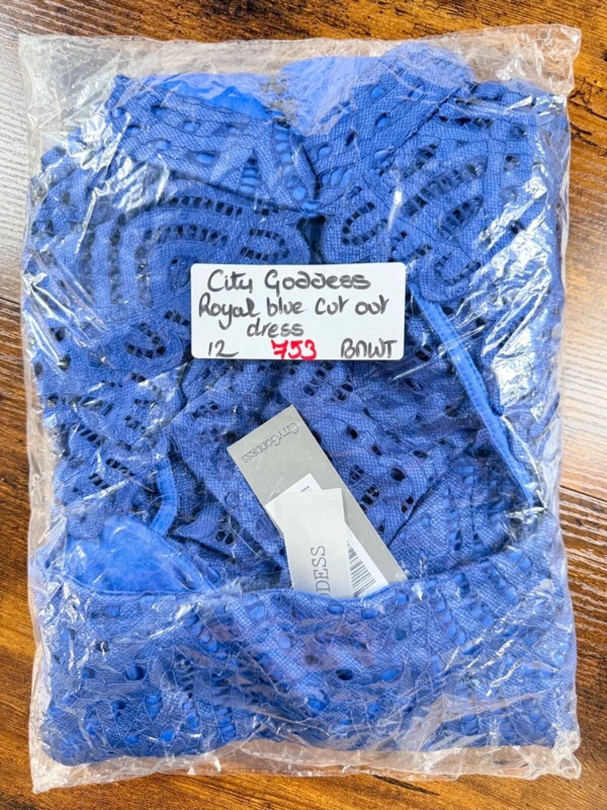 Royal Blue Lace Mini Dress UK 12 BNWT Holiday Ibiza Party