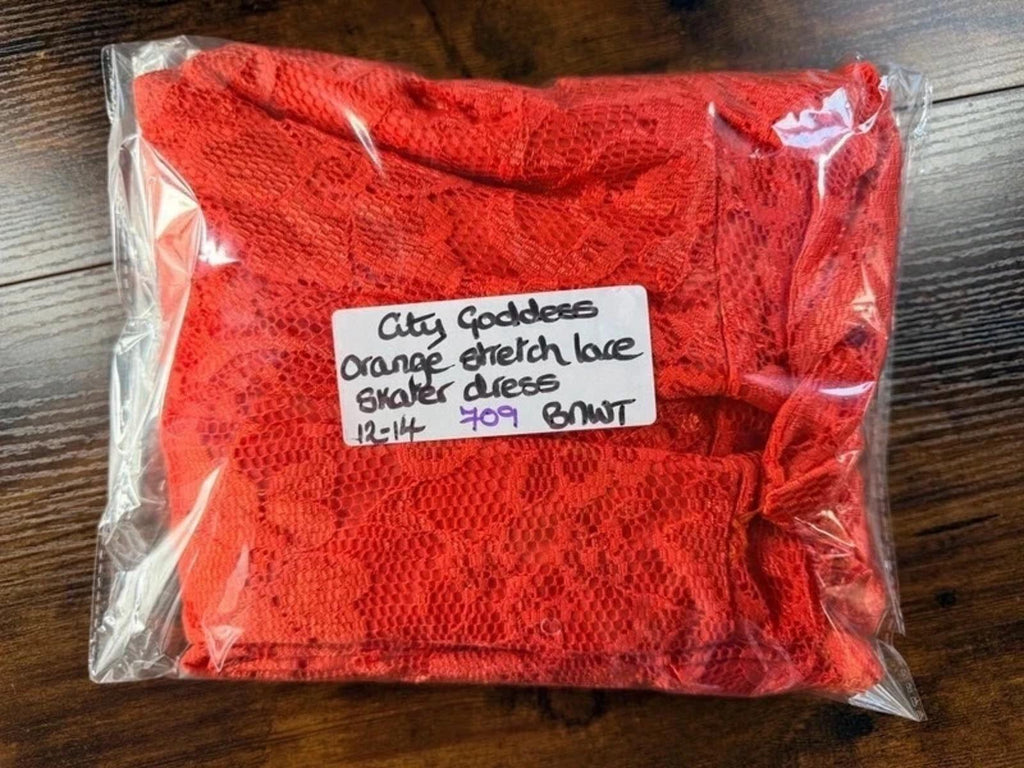 BNWT City Goddess Orange Lace Skater Dress UK12 Party Wedding